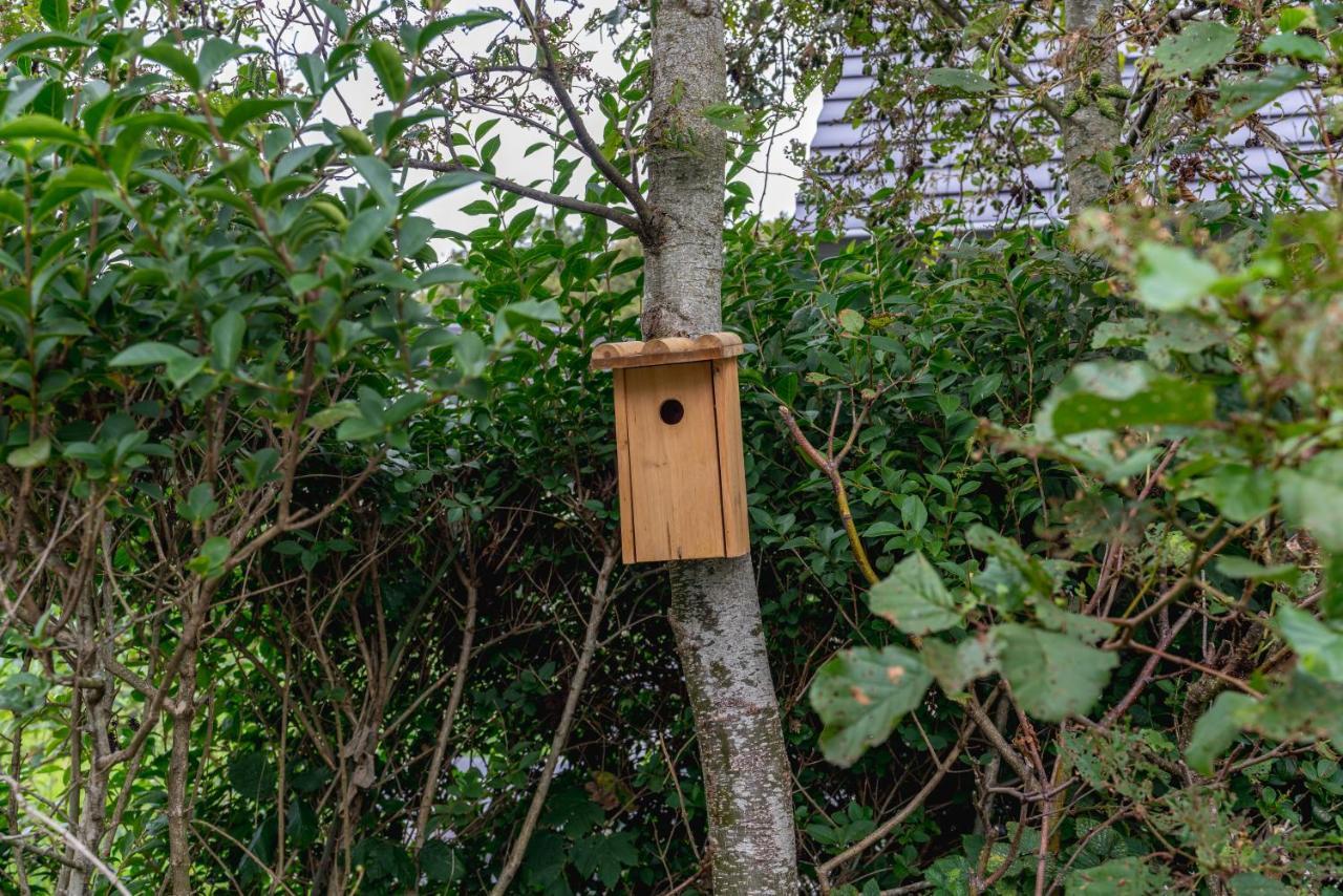 Vakantiewoning De Bleekersvallei De Koog  Bagian luar foto