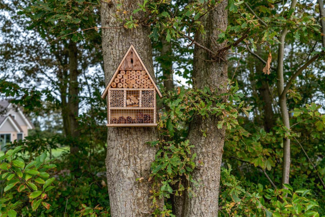 Vakantiewoning De Bleekersvallei De Koog  Bagian luar foto